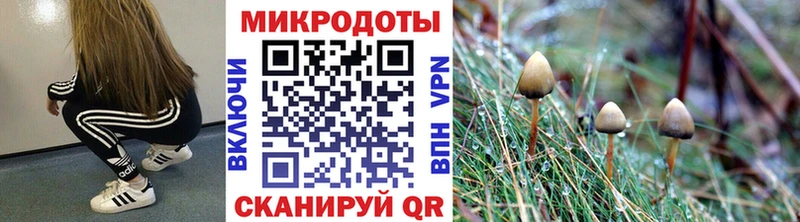 Псилоцибиновые грибы мухоморы Зеленогорск