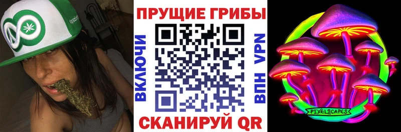 Псилоцибиновые грибы прущие грибы  Зеленогорск 