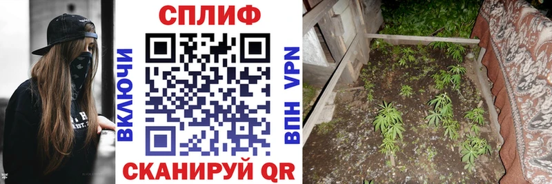 продажа наркотиков  Зеленогорск  Шишки марихуана Ganja 
